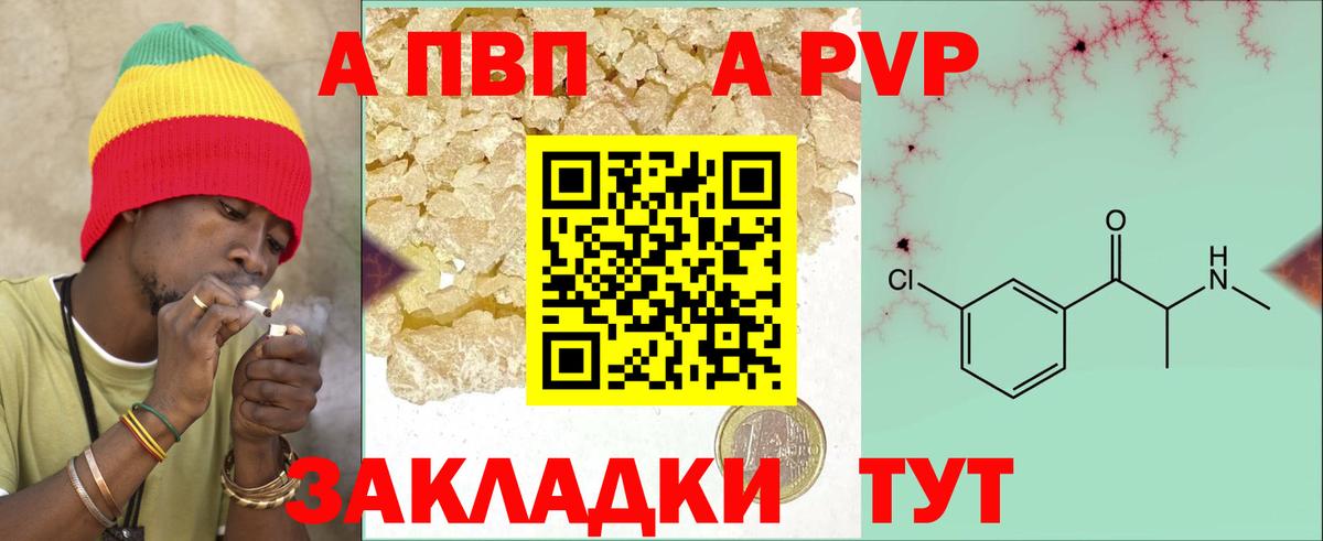 Alfa_PVP СК КРИС Нальчик